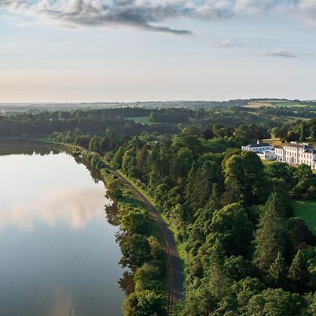 The Forest At Mount Congreve Gardens Kilmeaden 外观 照片