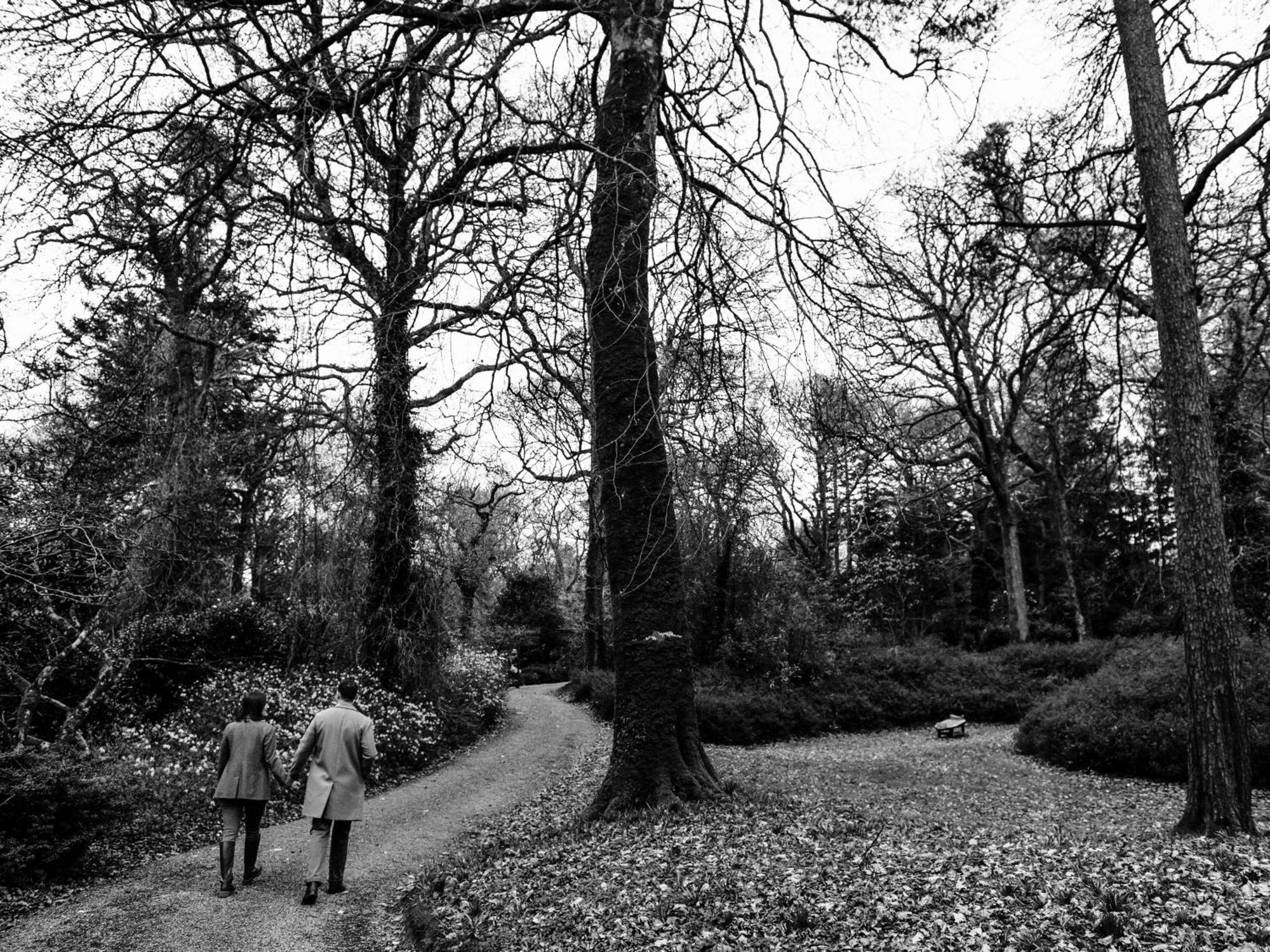 The Forest At Mount Congreve Gardens Kilmeaden 外观 照片